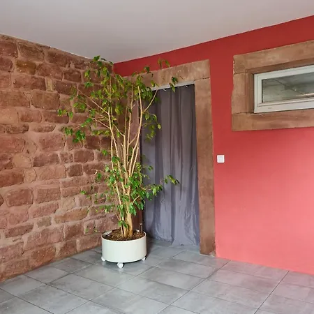 Le Pommier - Appt Avec Jardin Partagé *