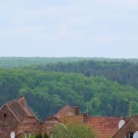 Le Pommier - Appt Avec Jardin Partage * Puberg