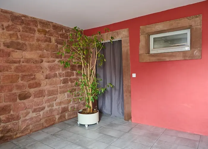 Le Pommier - Appt Avec Jardin Partage *