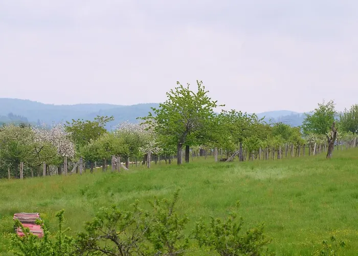 Le Pommier - Appt Avec Jardin Partage Apartment Puberg